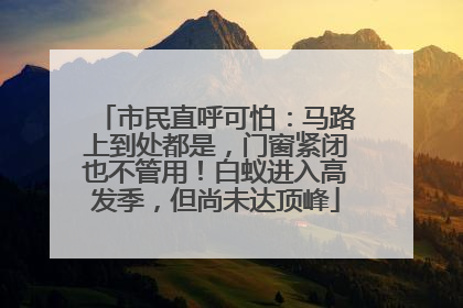 市民直呼可怕：马路上到处都是，门窗紧闭也不管用！白蚁进入高发季，但尚未达顶峰