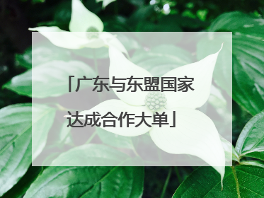 广东与东盟国家达成合作大单