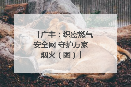 广丰：织密燃气安全网 守护万家烟火（图）