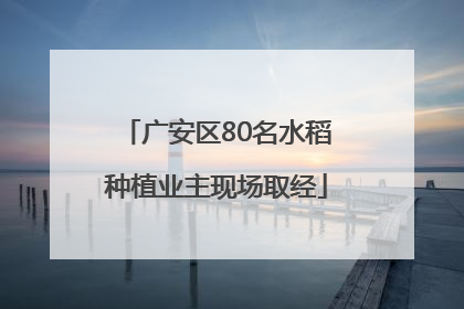 广安区80名水稻种植业主现场取经