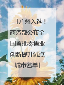 广州入选！商务部公布全国首批零售业创新提升试点城市名单