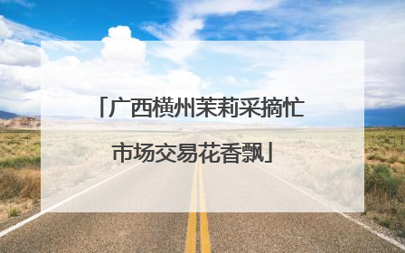 广西横州茉莉采摘忙 市场交易花香飘
