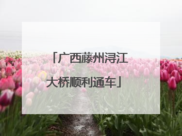 广西藤州浔江大桥顺利通车