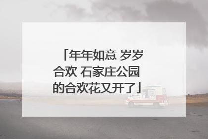 年年如意 岁岁合欢 石家庄公园的合欢花又开了