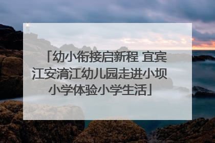幼小衔接启新程 宜宾江安淯江幼儿园走进小坝小学体验小学生活