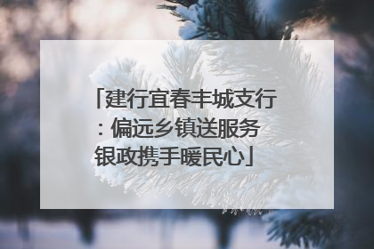 建行宜春丰城支行：偏远乡镇送服务 银政携手暖民心