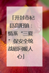 开封市杞县高阳镇：情系“三夏”保安全统战慰问暖人心
