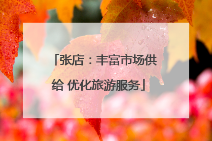 张店：丰富市场供给 优化旅游服务