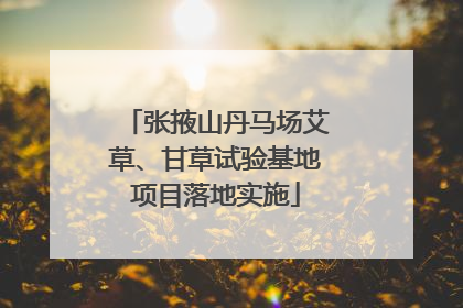 张掖山丹马场艾草、甘草试验基地项目落地实施