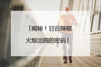揭秘！甘谷辣椒火爆出圈的密码