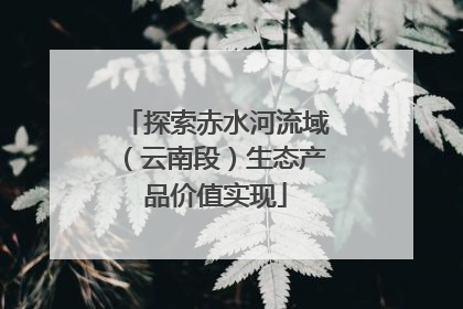 探索赤水河流域（云南段）生态产品价值实现
