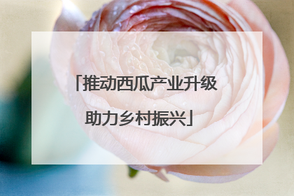 推动西瓜产业升级 助力乡村振兴