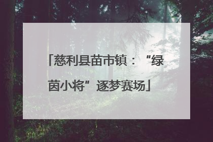 慈利县苗市镇：“绿茵小将”逐梦赛场