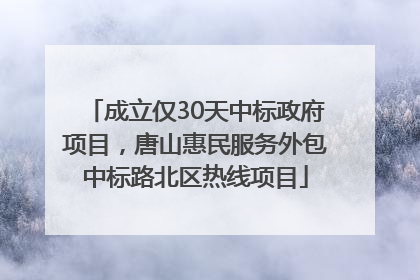 成立仅30天中标政府项目，唐山惠民服务外包中标路北区热线项目
