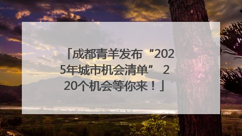 成都青羊发布“2025年城市机会清单” 220个机会等你来！