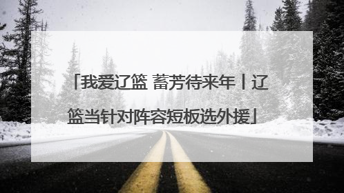 我爱辽篮 蓄芳待来年丨辽篮当针对阵容短板选外援