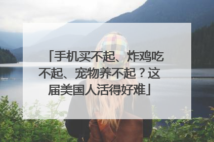 手机买不起、炸鸡吃不起、宠物养不起？这届美国人活得好难