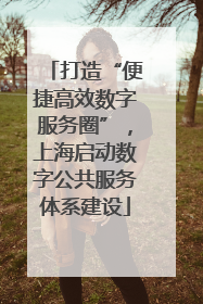 打造“便捷高效数字服务圈”，上海启动数字公共服务体系建设