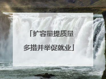 扩容量提质量 多措并举促就业