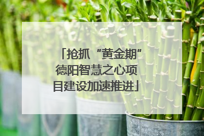 抢抓“黄金期” 德阳智慧之心项目建设加速推进
