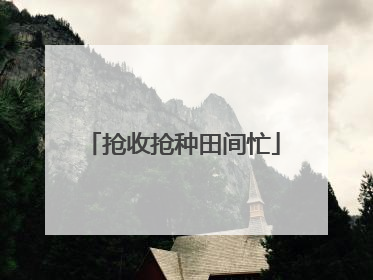 抢收抢种田间忙