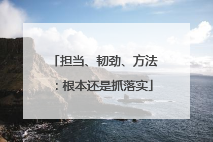 担当、韧劲、方法：根本还是抓落实