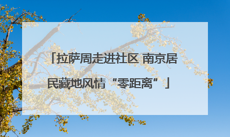 拉萨周走进社区 南京居民藏地风情“零距离”