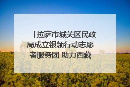 拉萨市城关区民政局成立银领行动志愿者服务团 助力西藏银发经济发展