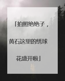 拍照绝绝子，黄石这里的绣球花盛开啦