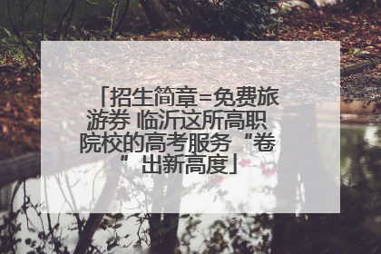 招生简章=免费旅游券 临沂这所高职院校的高考服务“卷”出新高度