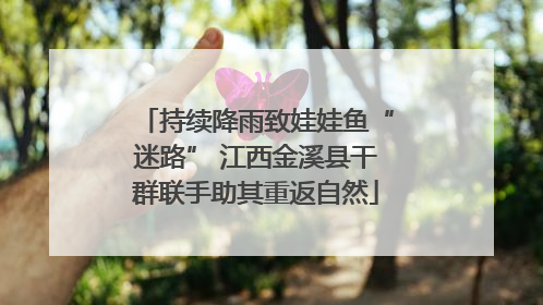 持续降雨致娃娃鱼“迷路” 江西金溪县干群联手助其重返自然