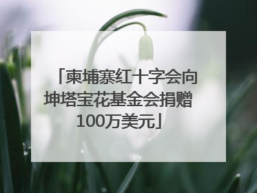 柬埔寨红十字会向坤塔宝花基金会捐赠100万美元
