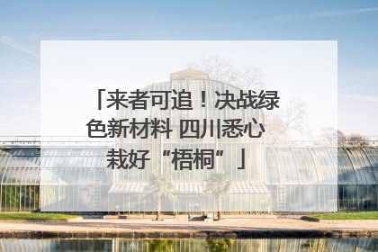 来者可追！决战绿色新材料 四川悉心栽好“梧桐”