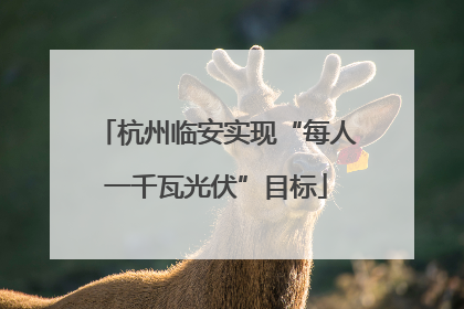 杭州临安实现“每人一千瓦光伏”目标