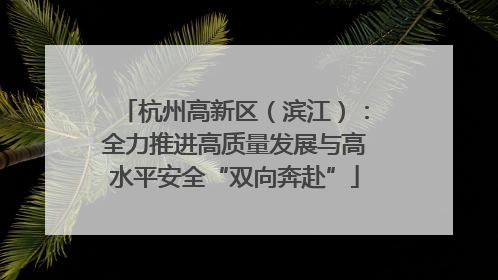 杭州高新区（滨江）：全力推进高质量发展与高水平安全“双向奔赴”