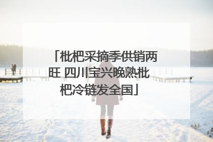 枇杷采摘季供销两旺 四川宝兴晚熟枇杷冷链发全国