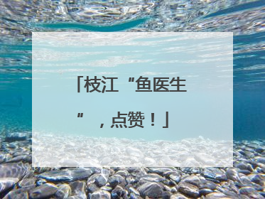 枝江“鱼医生”，点赞！