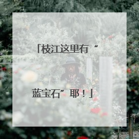枝江这里有“蓝宝石”耶！