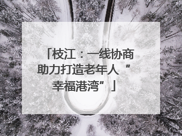 枝江：一线协商助力打造老年人“幸福港湾”