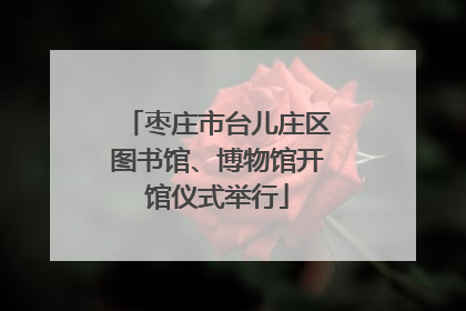 枣庄市台儿庄区图书馆、博物馆开馆仪式举行