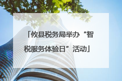 攸县税务局举办“智税服务体验日”活动
