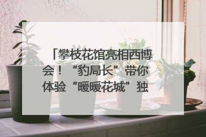 攀枝花馆亮相西博会！“豹局长”带你体验“暖暖花城”独特魅力｜西博视界