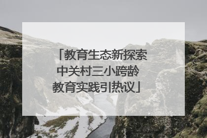 教育生态新探索 中关村三小跨龄教育实践引热议