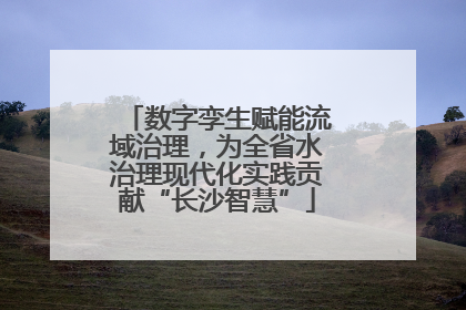 数字孪生赋能流域治理，为全省水治理现代化实践贡献“长沙智慧”