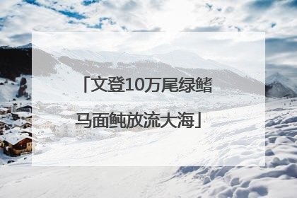文登10万尾绿鳍马面鲀放流大海