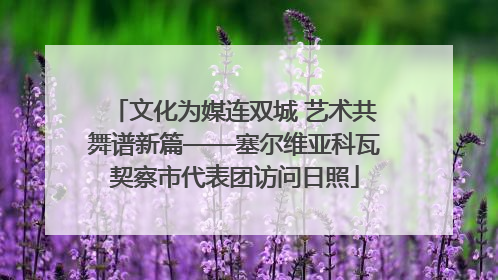 文化为媒连双城 艺术共舞谱新篇——塞尔维亚科瓦契察市代表团访问日照