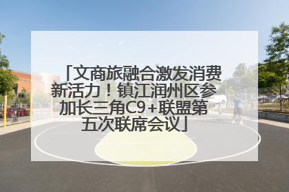 文商旅融合激发消费新活力！镇江润州区参加长三角C9+联盟第五次联席会议