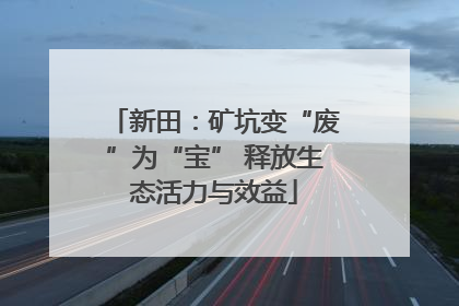 新田：矿坑变“废”为“宝” 释放生态活力与效益