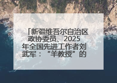 新疆维吾尔自治区政协委员、2025年全国先进工作者刘武军：“羊教授”的“中国芯”