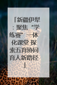 新疆伊犁：聚焦“学练赛”一体化课堂 探索五育协同育人新路径